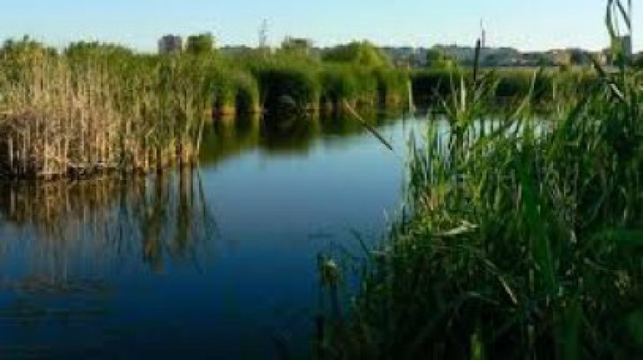 Ce lac vrea să transforme Ponta în deltă